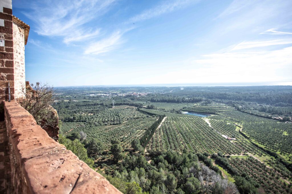 camp de tarragona miró